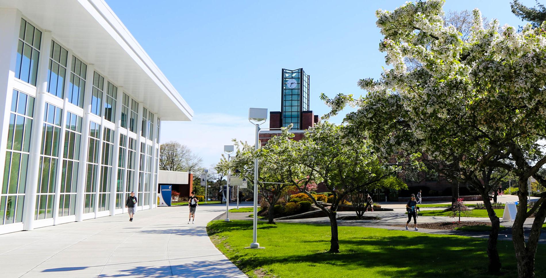 occ campus in the spring with trees blooming and clock tower in the background